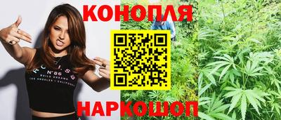 трава Новозыбков