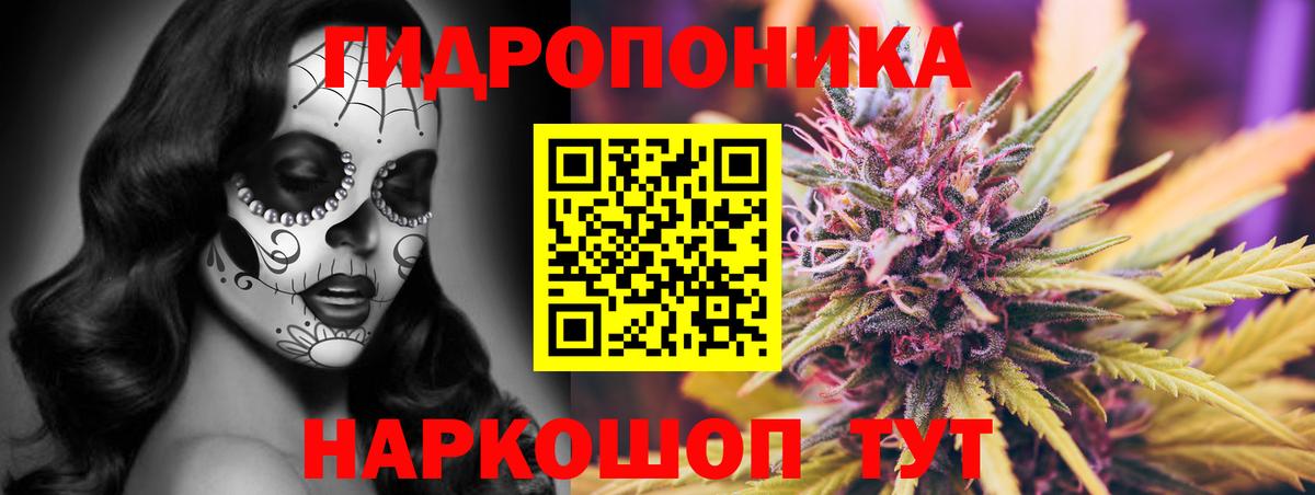 Бошки марихуана конопля  МАРИХУАНА THC 21%  Урюпинск  Вход с VPN  Марихуана конопля  Бошки марихуана семена 